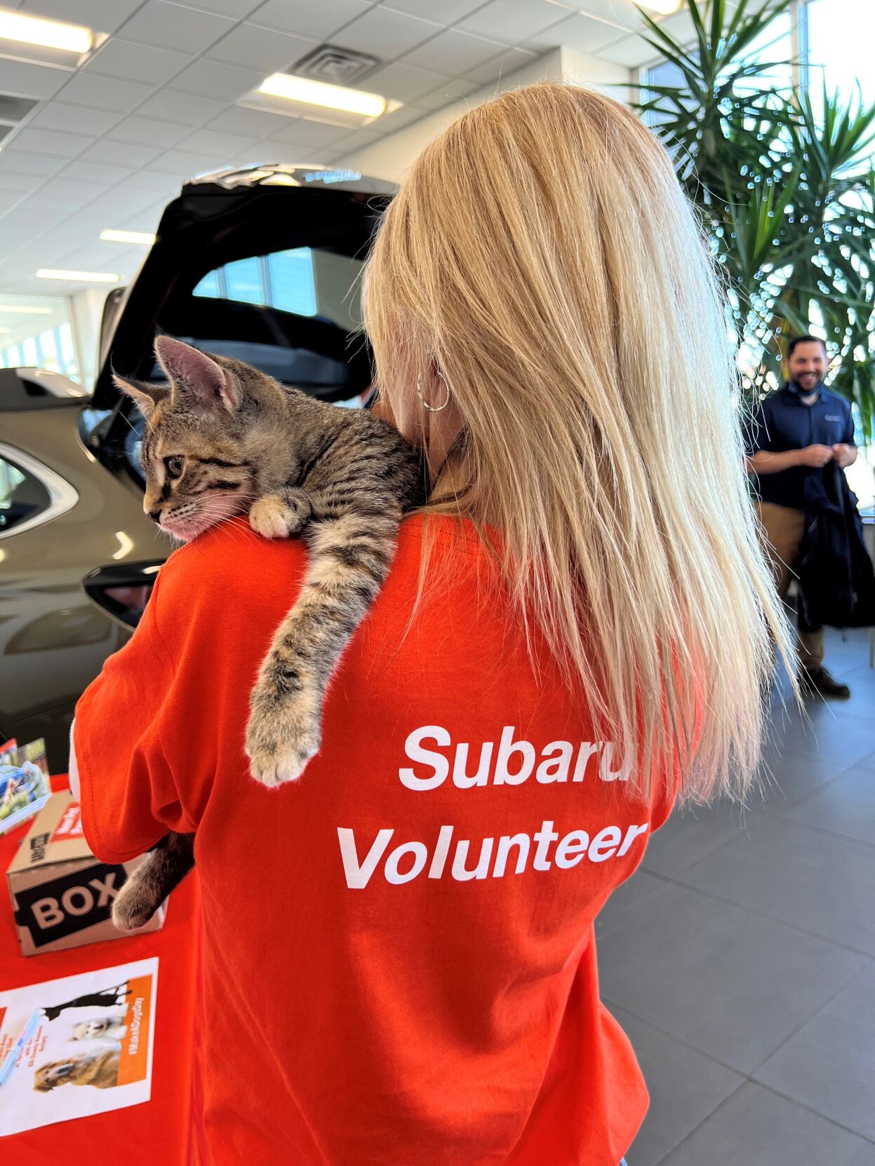 Subaru loves pets with a cat